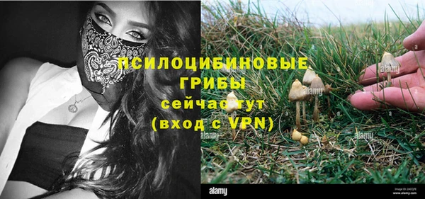 мет Няндома
