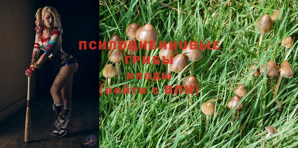 мет Няндома