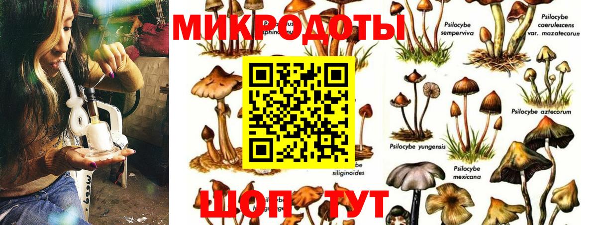 Железногорск  Псилоцибиновые грибы Psilocybine cubensis  Галлюциногенные грибы Psilocybe  закладки  Вход с VPN 