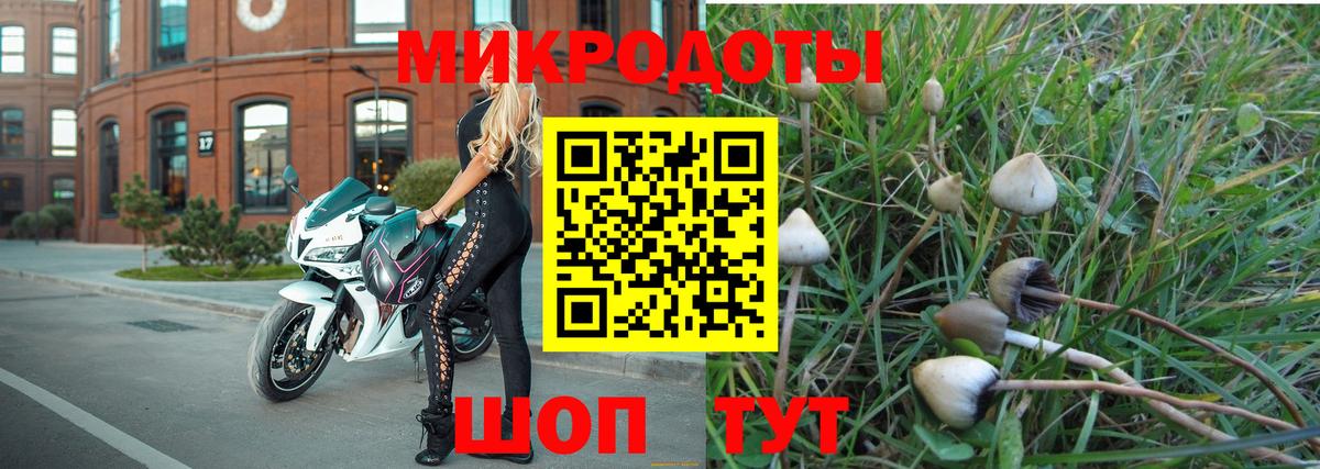 Псилоцибиновые грибы мухоморы Железногорск