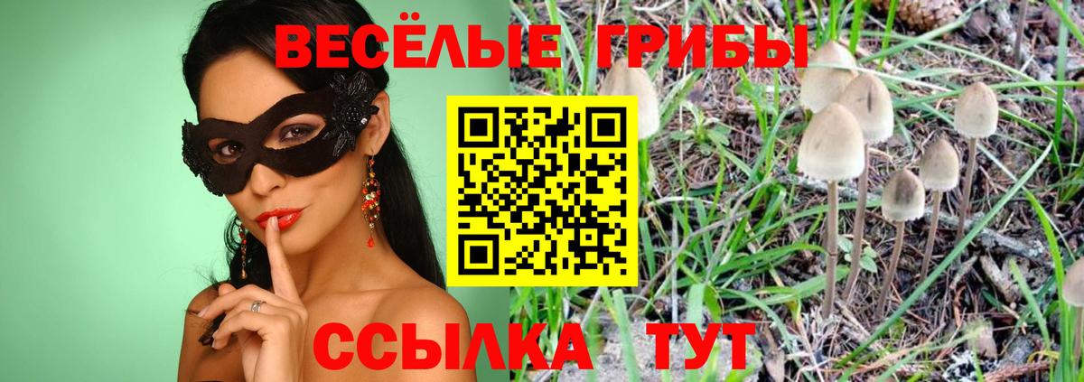 Железногорск  MDMA  Вход с VPN  COCAIN  Мефедрон кристаллы  ГАШИШ  МАРИХУАНА 