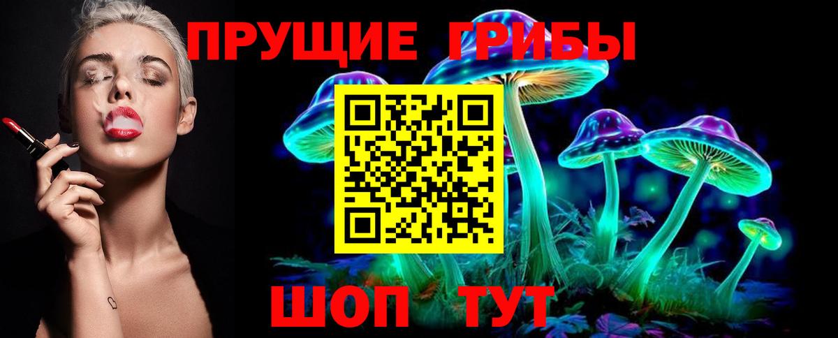 Галлюциногенные грибы GOLDEN TEACHER  Галлюциногенные грибы MAGIC MUSHROOMS  что такое наркотик  Железногорск 